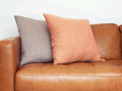 leather sofa cleaning 